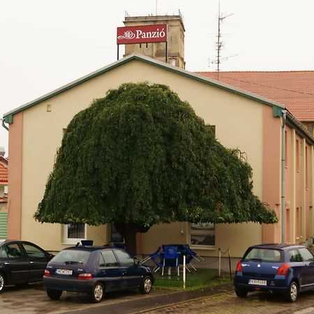 Gyöngyös Malomudvar Etterem Cukraszda Panzio Es Rendezvenyhaz المظهر الخارجي الصورة